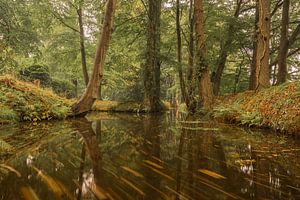 Herbstliche