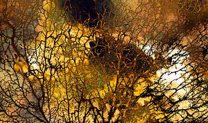 Skandinavischer Herbst Wald Abstrakt