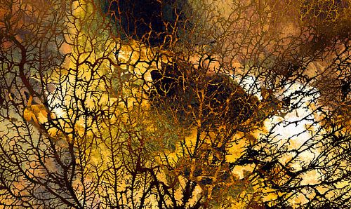 Scandinavisch herfstbos Abstract van Mad Dog Art