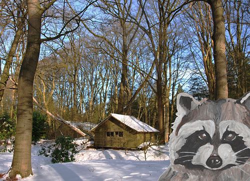 Cottage in the woods with raccoon