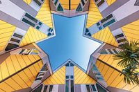 Cubical star of Rotterdam