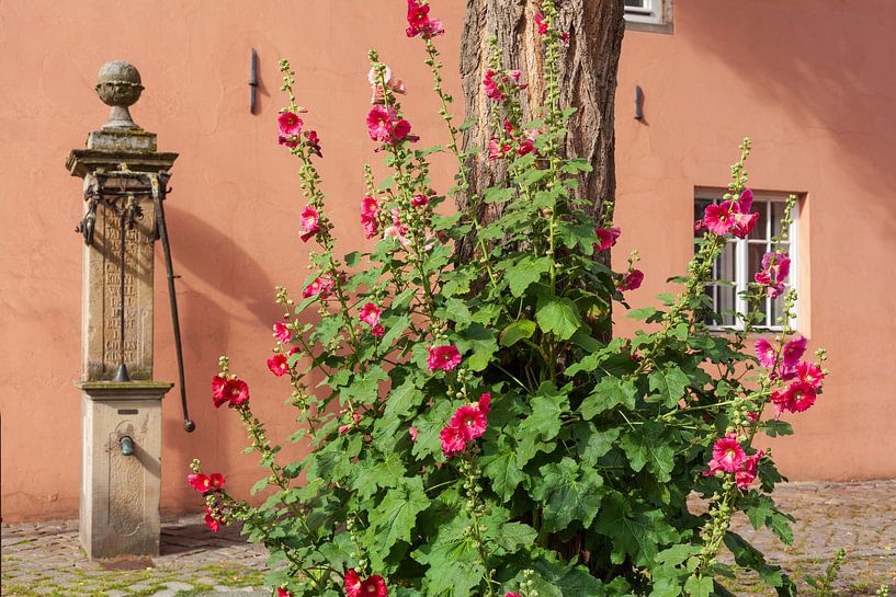 Stockmalven von Torsten Krüger