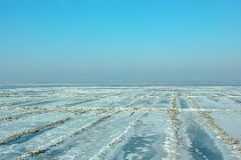 Winter in the mudflats