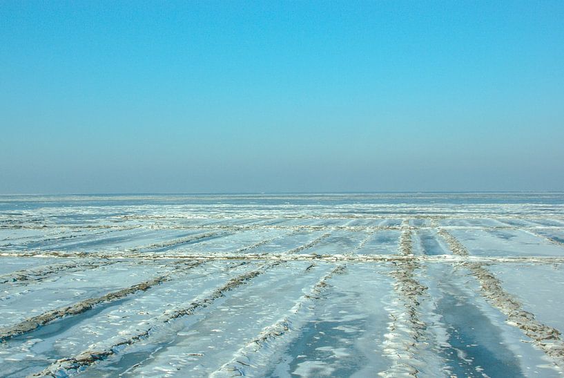 Winter in the mudflats by Norbert Sülzner