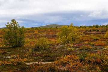 Autumn in Finland by Joke Beers-Blom