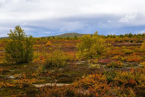 L'automne en Finlande