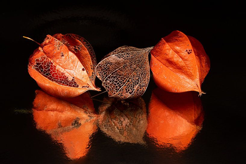 Stillleben: drei (sandige) Laternen mit Spiegelung (Herbst) von Marjolijn van den Berg