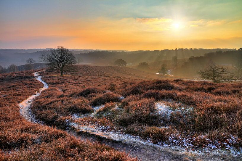 Posbank matin d'hiver par Dennis van de Water