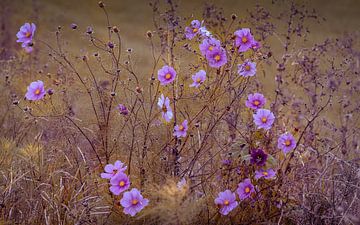 Wilde bloemen van Enrico Veneziano