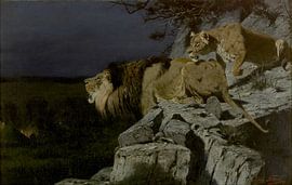 Lion pair lurking at night campfire, Richard Friese