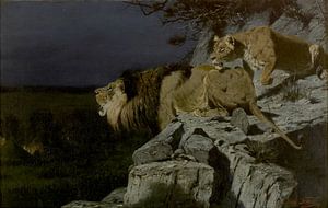 Löwe und Löwenpaar lauern an einem nächtlichen Lagerfeuer, Richard Friese
