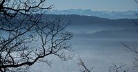 Uitzicht op de Zwitserse Alpen van Tanja Voigt thumbnail