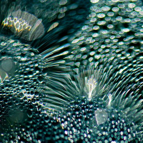  AQUATIC DREAMS