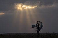Rayons de soleil