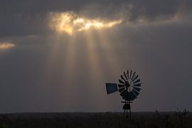 Sun rays by Marijke Arends-Meiring
