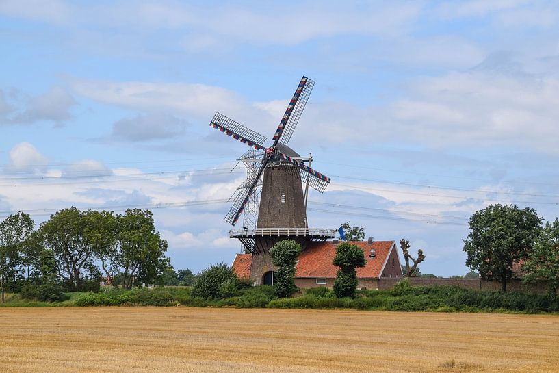 Molen in het LImburgse Maaslandschap bij Stevenweert van Robin Verhoef