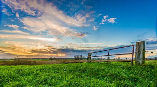 Weiland tijdens de ondergaande zon