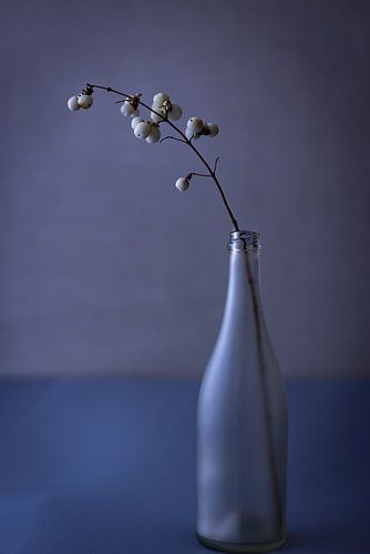 Flasche mit Zweig von Jeanet Francke