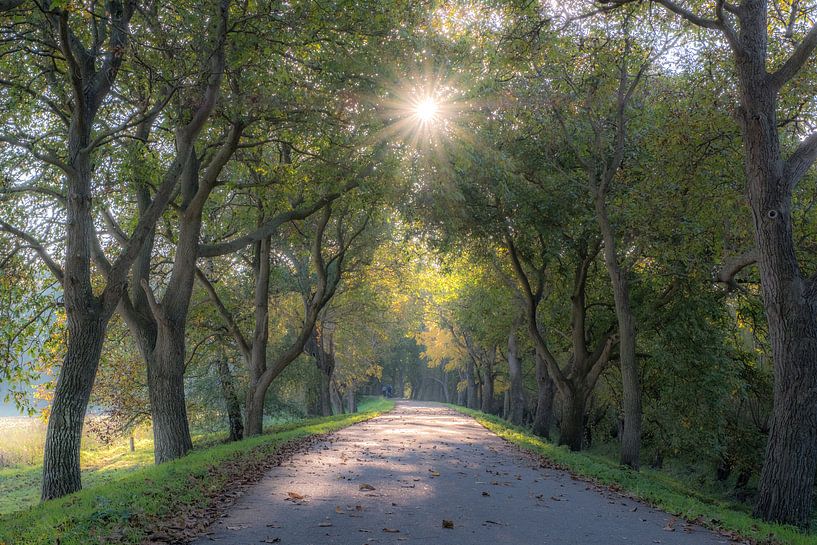 Notendijk bij Landhoed Heerlijkheid Marienwaerdt by Moetwil en van Dijk - Fotografie