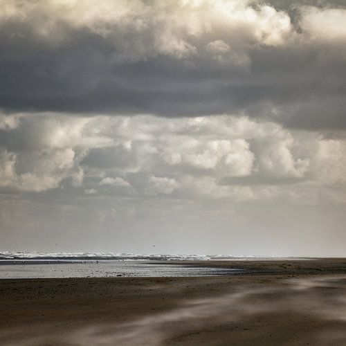Windforce 9