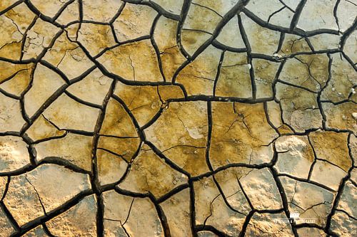 Cracked... structuren op het Wad