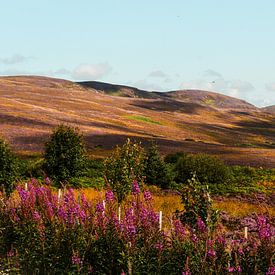 Scotland by Bianca  Hinnen