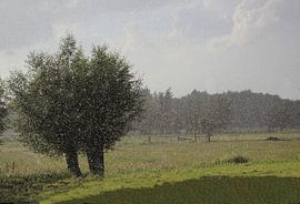 Summer by Yvonne Blokland