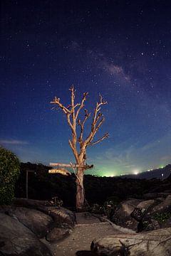 Koh Phi Phi Thailand van Luc Buthker