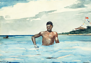 Der Badende, Winslow Homer - 1899