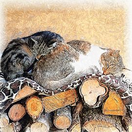 Taking Care Of Uncle Malt by Dorothy Berry-Lound