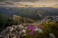 Sonnenuntergang Dolomiten von Peter Poppe Miniaturansicht