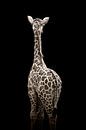 Minimalistische baby giraffe van Wianda Bakker thumbnail