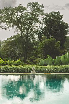 Swimming pool/ Bali Travel Photography