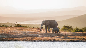 De essentie van Zuid-Afrika