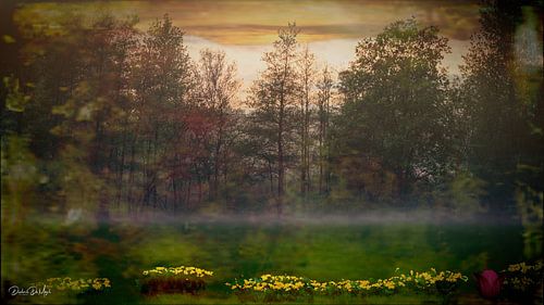 Landschap vintage zicht