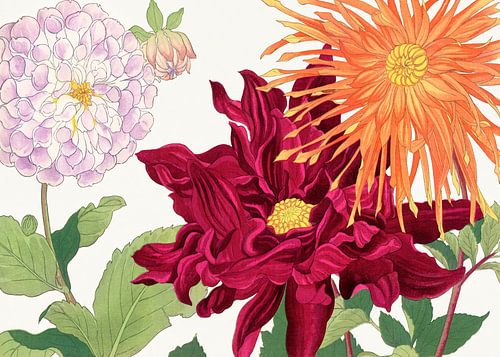 Dahlienblüte Nr. 2 – Tanigami Kônan