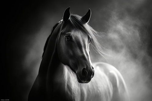 Paard