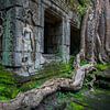 Angkor Wat von Antwan Janssen