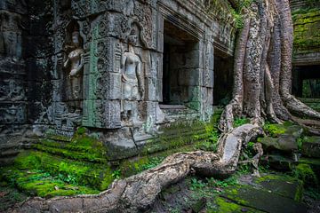 Angkor Wat van Antwan Janssen