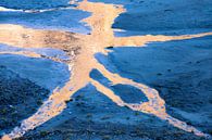 A golden octopus by Christa Kramer thumbnail