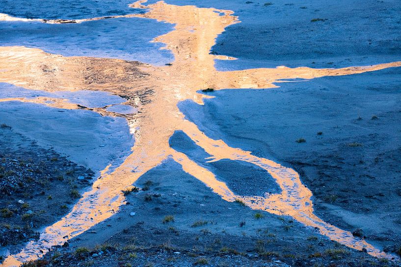A golden octopus by Christa Kramer