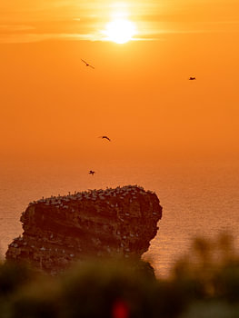 long anne, coucher de soleil