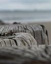 Beach posts (3) by Ellen de Roo thumbnail
