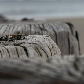 Beach posts (3) by Ellen de Roo