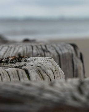 Beach posts (3)