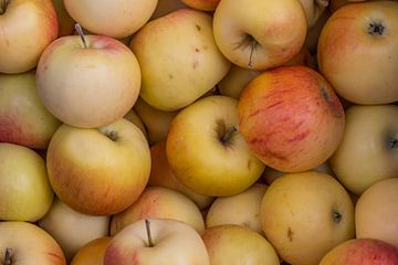 appels van Daan Kloeg