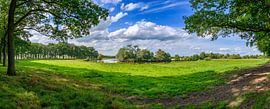 Landscape in the Vechtdal valley along the Overijsselse Vecht by Sjoerd van der Wal Photography