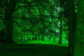 Groen licht in de verf gezet van didier de borle