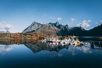 Haven