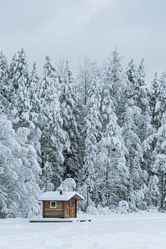 Kleine Holzhütte auf einem zugefrorenen See in Finnland | Winter in Finnisch-Lappland